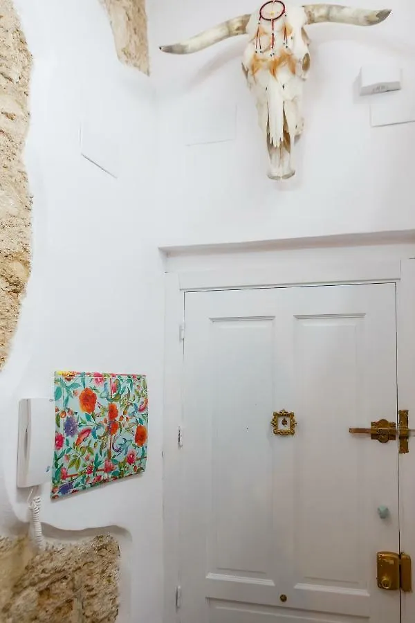 Noah House City Center - Historic Center Cádiz Lejlighed