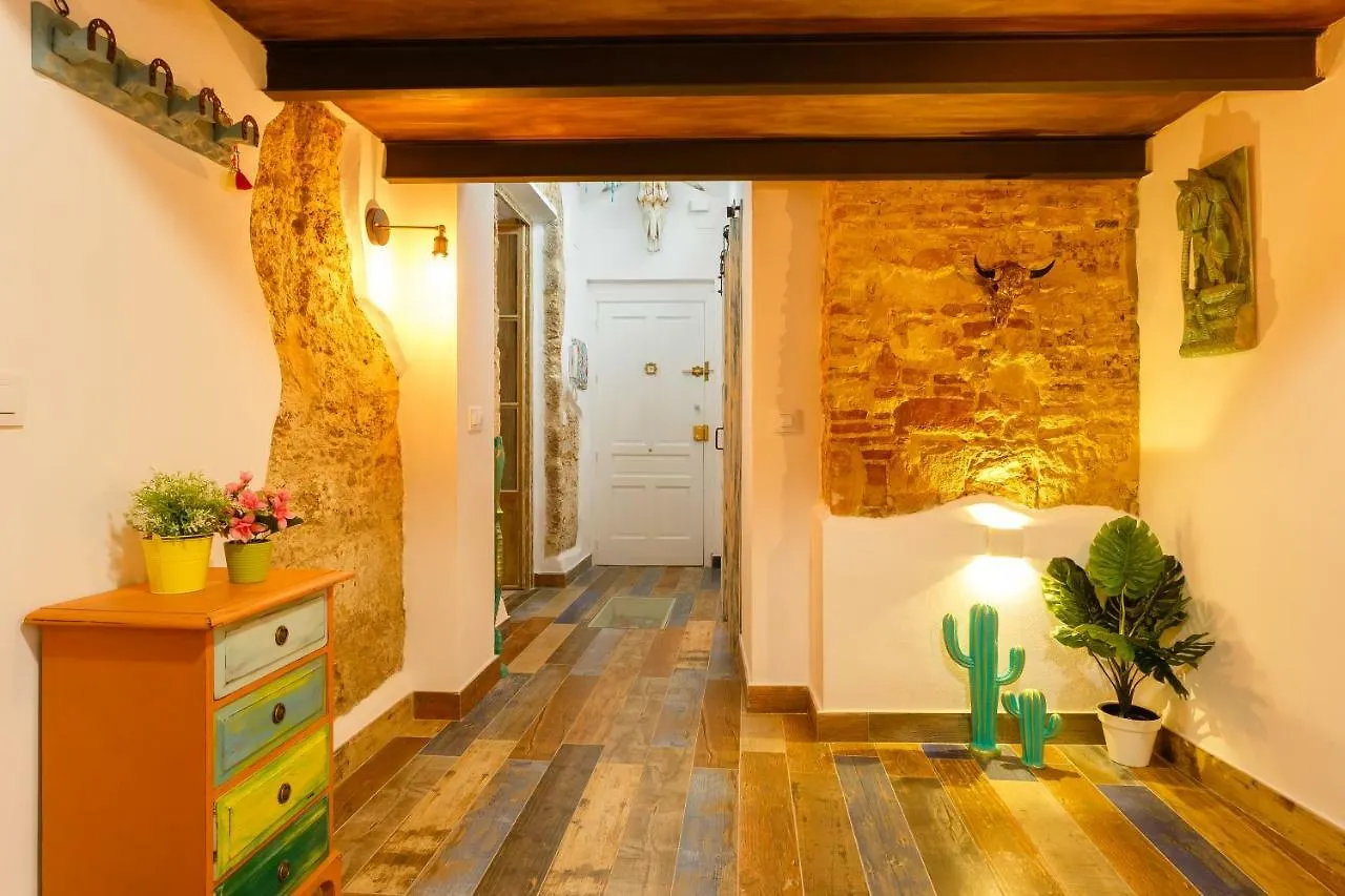 Noah House City Center - Historic Center Cadiz 0*,  Spain